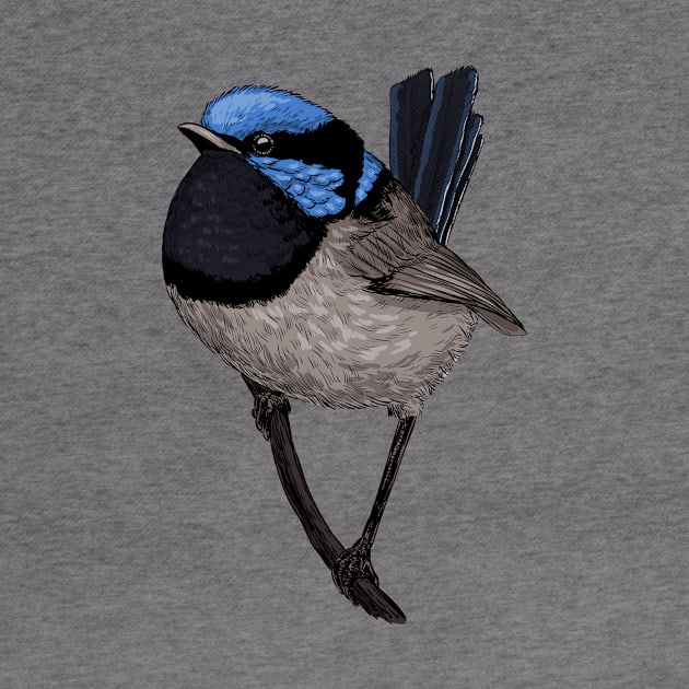 Fairy wren drawing 3 by katerinamk